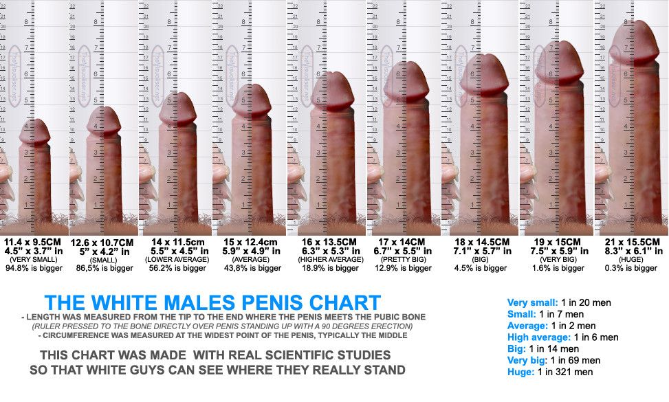 All pornstar penis size