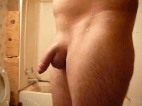 Hairy penis or shaved penis