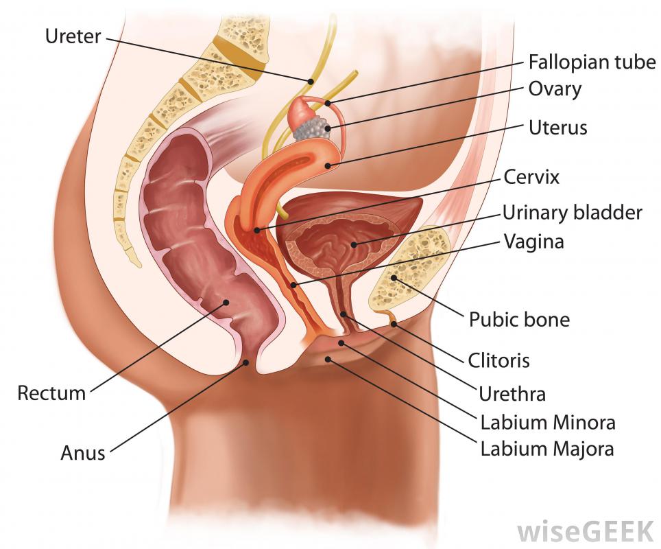 Anus hurts symptoms sit down