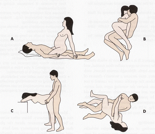 Ella reccomend Which sex position are you